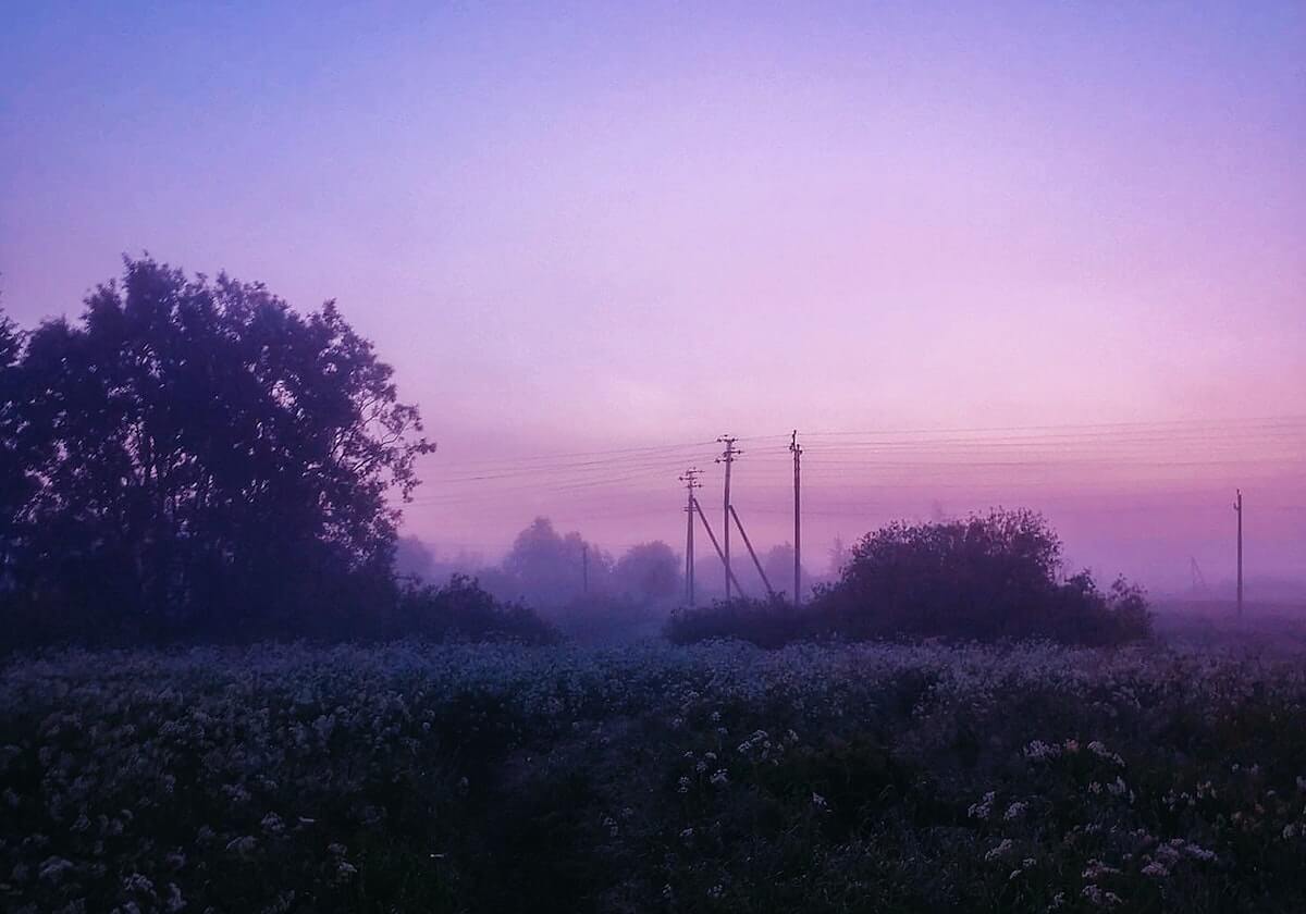 九游官方网站：在掌上世界里开启正版、安全与乐趣并存的新旅程